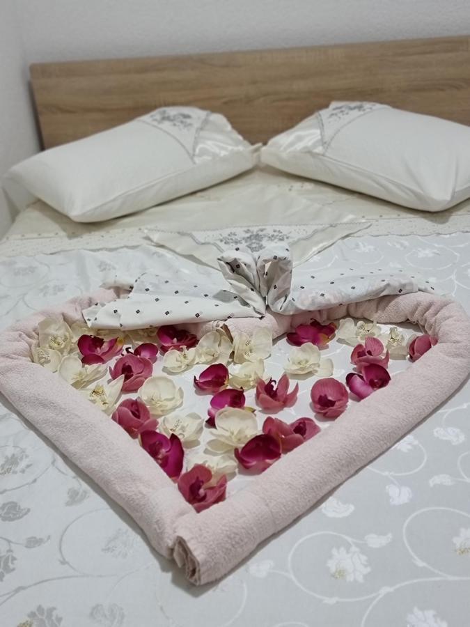 Hostel Bellavista كوبر المظهر الخارجي الصورة